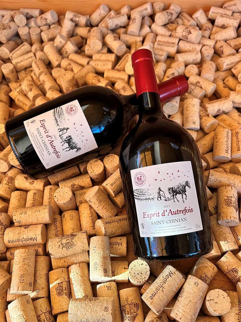 AOP Saint-Chinian Esprit d'Autrefois