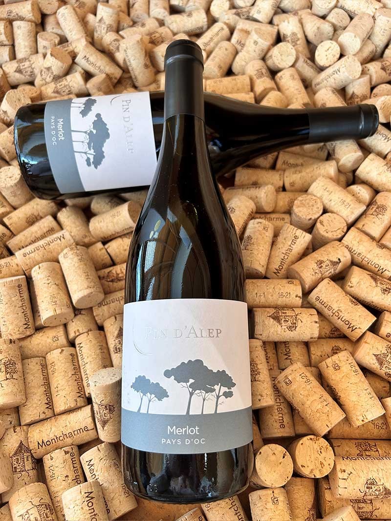 Pin d'Alep Merlot IGP Pays d'Oc Monocépage