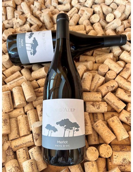 Pin d'Alep Merlot IGP Pays d'Oc Monocépage