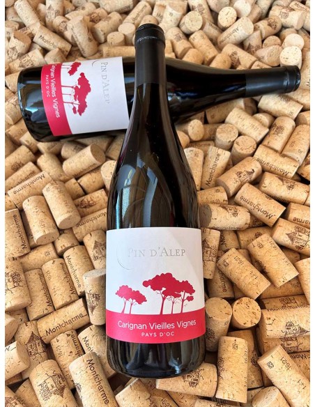 Pin d'Alep Carignan Vieilles Vignes IGP Pays d'Oc Monocépage