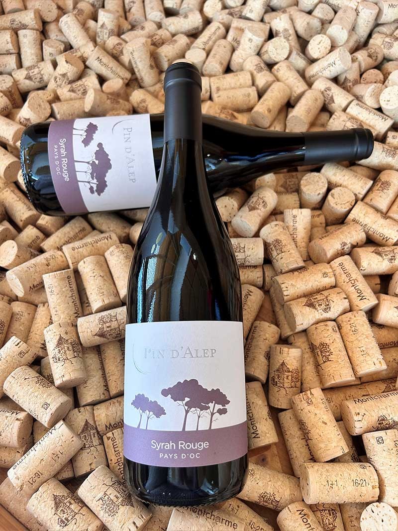 Pin d'Alep Syrah rouge IGP Pays d'Oc Monocépage