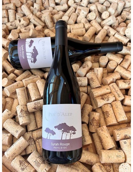 Pin d'Alep Syrah rouge IGP Pays d'Oc Monocépage