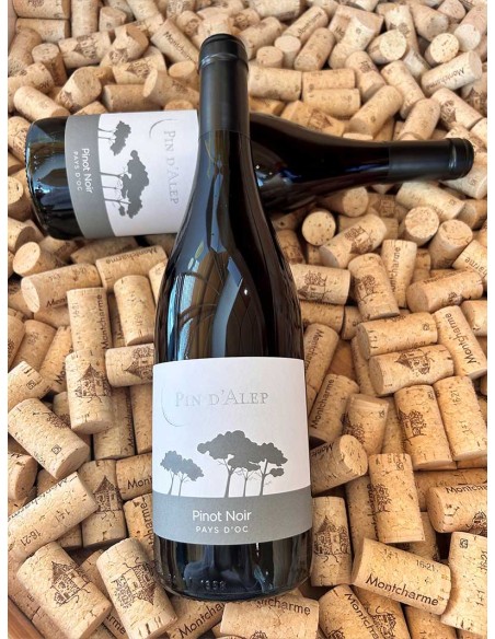 Pin d'Alep Pinot Noir IGP Pays d'Oc Monocépage