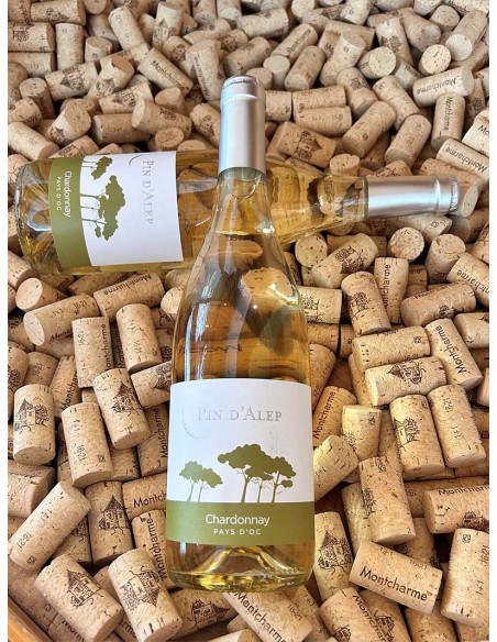 Pin d'Alep Chardonnay IGP Pays d'Oc Monocépage