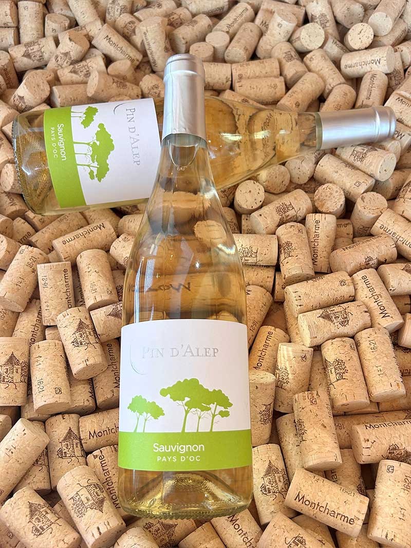 Pin d'Alep Sauvignon IGP Pays d'Oc Monocépage