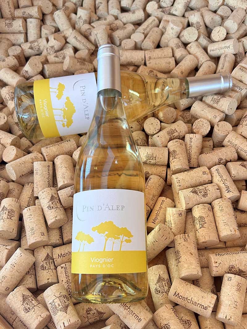 Pin d'Alep Viognier IGP Pays d'Oc Monocépage