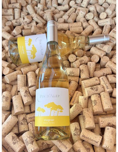 Pin d'Alep Viognier IGP Pays d'Oc Monocépage