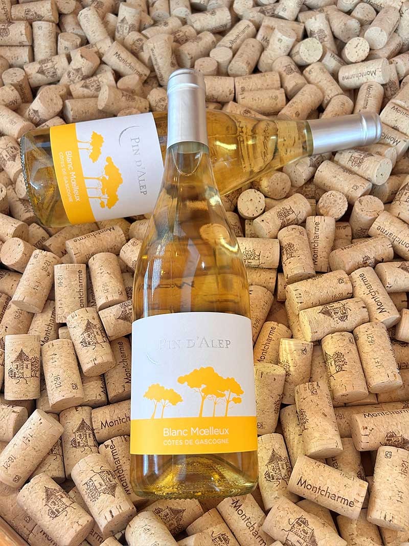 Pin d'Alep Blanc Moelleux IGP Côtes de Gascogne Monocépage