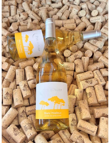 Pin d'Alep Blanc Moelleux IGP Côtes de Gascogne Monocépage