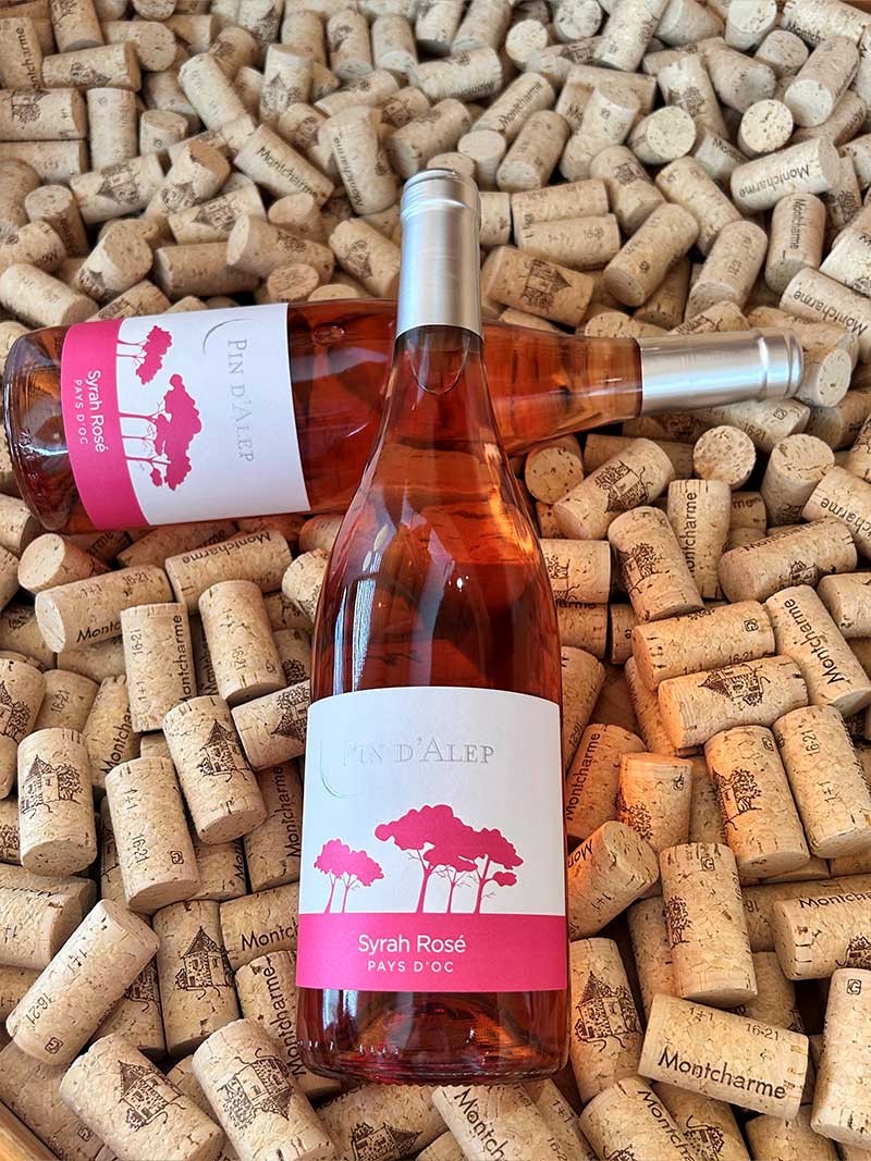 Pin d'Alep Syrah Rosé IGP Pays d'Oc Monocépage