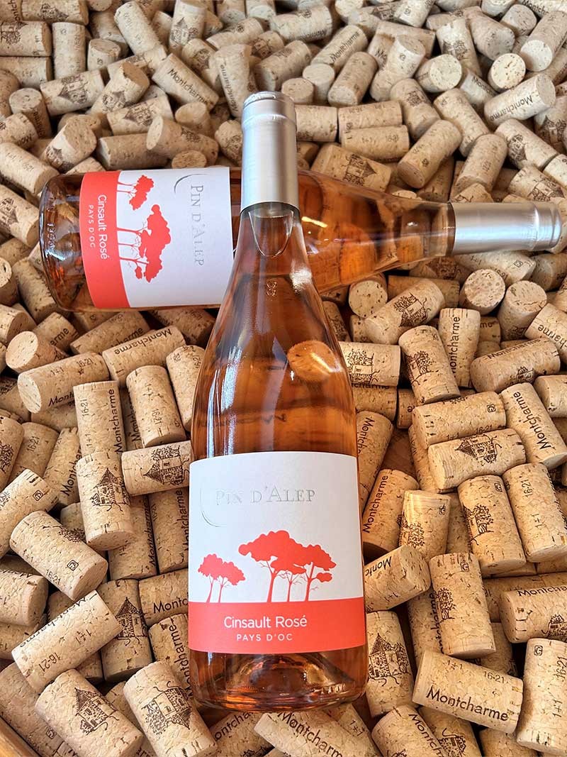 Pin d'Alep Cinsault IGP Pays d'Oc Monocépage