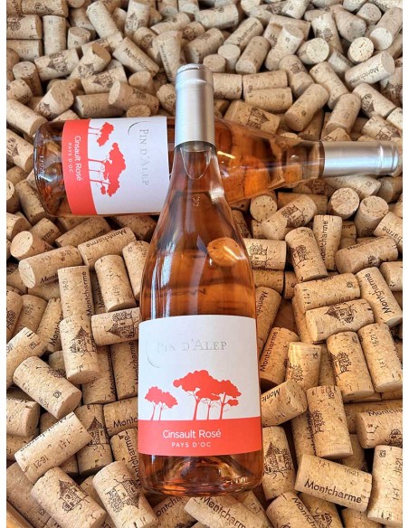 Pin d'Alep Cinsault IGP Pays d'Oc Monocépage