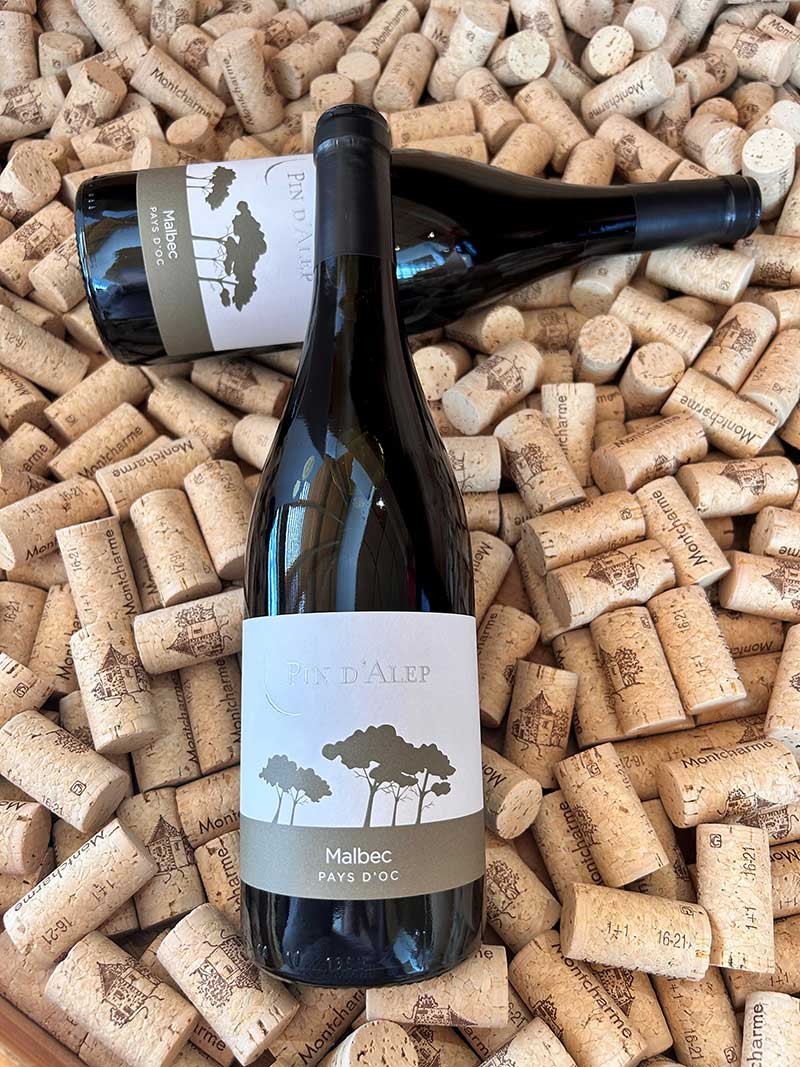 Pin d'Alep Malbec IGP Pays d'Oc Monocépage